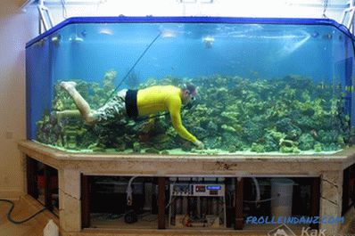 Comment faire un aquarium avec ses propres mains