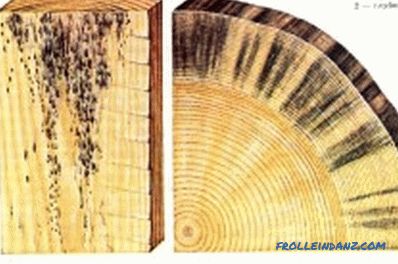 Protection des structures en bois contre la pourriture et les champignons: recommandations