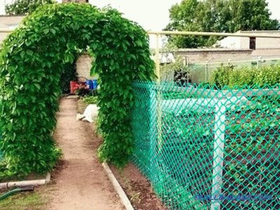 Comment choisir un treillis de jardin pour la clôture