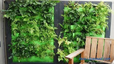 Comment faire un jardin vertical - créer un jardin vertical (+ photos)