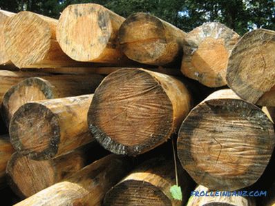 Comment traiter le bois de moisissure?