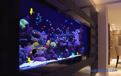 Aquarium à l'intérieur d'un appartement ou d'une maison