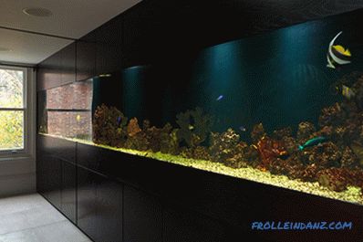 Aquarium à l'intérieur d'un appartement ou d'une maison