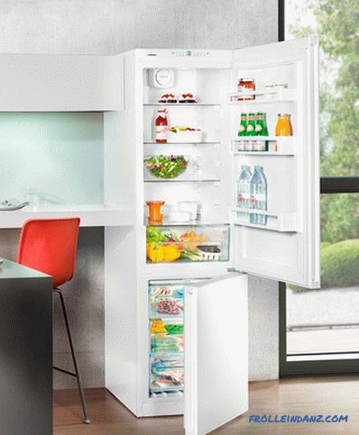 Types de réfrigérateurs pour la maison - un examen détaillé
